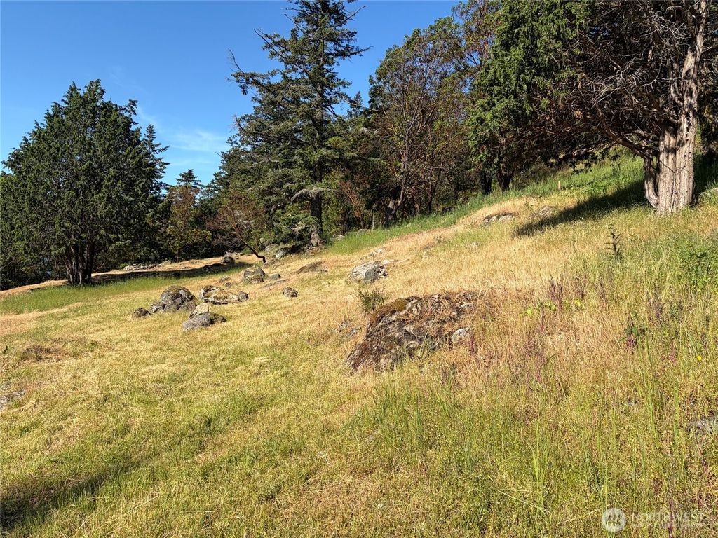 Photo of 1024 Deer Harbor Road, Orcas Island, WA 98245 (MLS # 2527086)