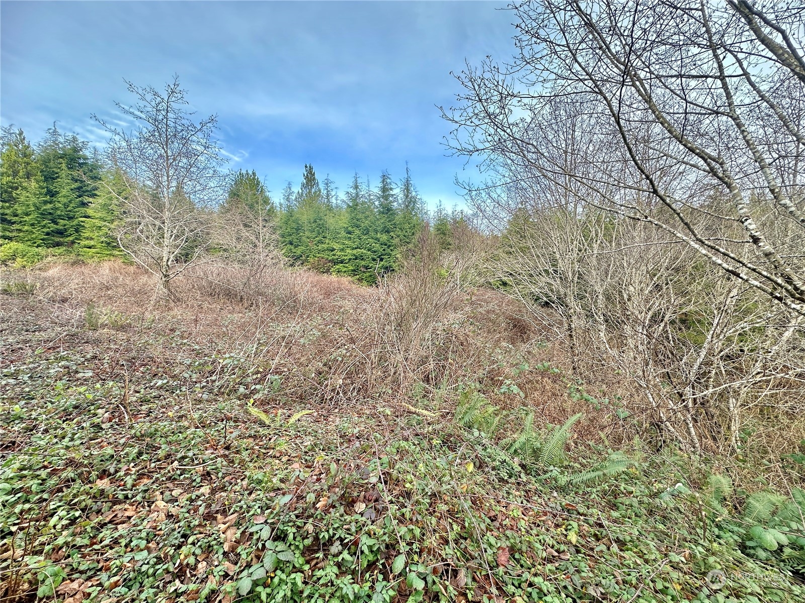 0 Alpine Lane