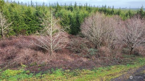 0 Alpine Lane Hoquiam WA 98550