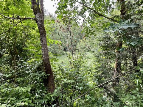 0 196th Avenue E Orting WA 98360