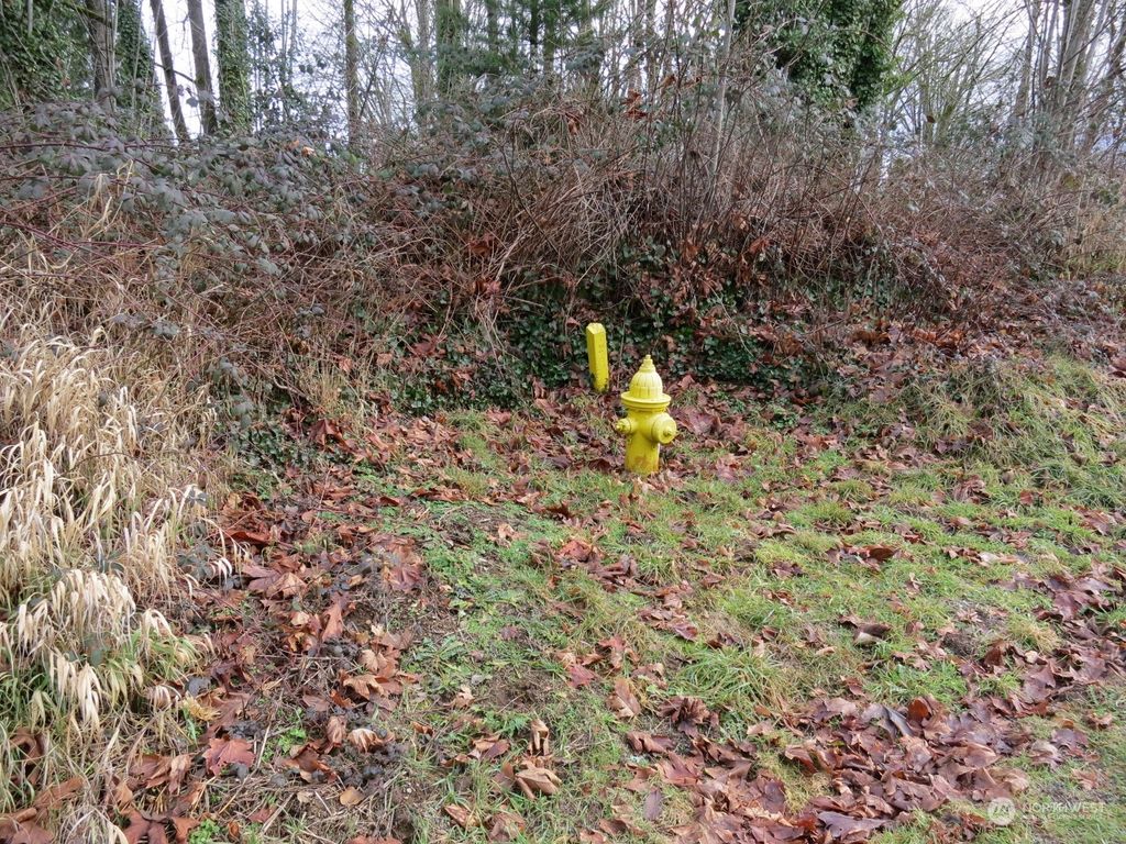 Photo of 215 xx E Lost Lake Road, Snohomish, WA 98296 (MLS # 2192980)