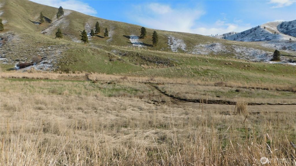 Photo of 8019 Nahahum Canyon Road, Cashmere, WA 98815 (MLS # 2481278)