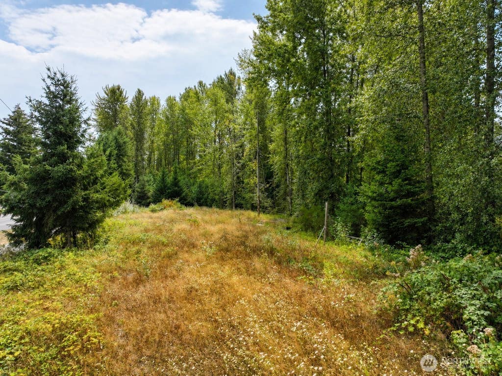 Photo of 0 132nd Ave SE, Kent, WA 98042 (MLS # 2570645)