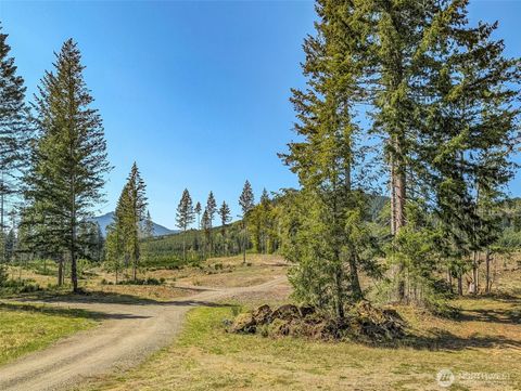 Photo of 0 Craig Road #Lot B3, Packwood, WA 98361 (MLS # 2482622)