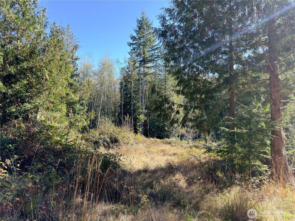 Photo of 1 XXX Lee Valley Road, Quilcene, WA 98376 (MLS # 2458942)