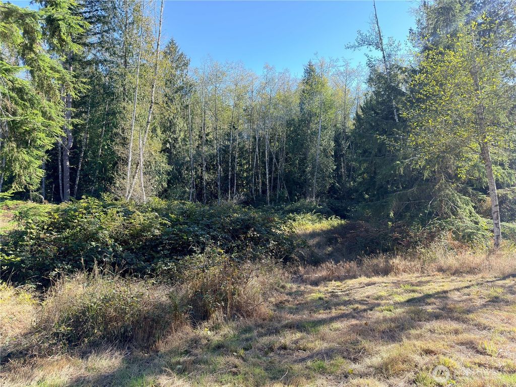 Photo of 1 XXX Lee Valley Road, Quilcene, WA 98376 (MLS # 2458942)
