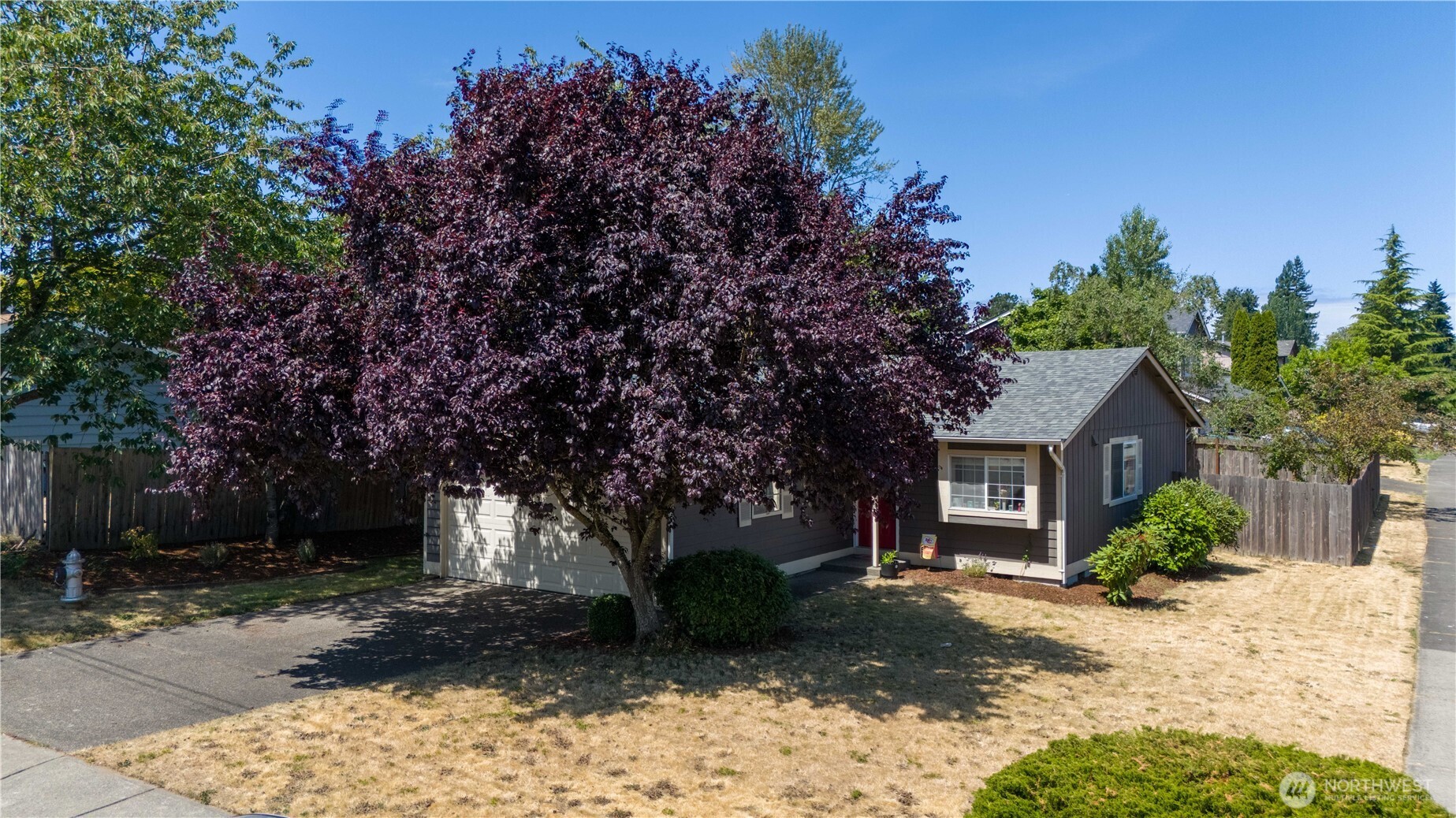 249 E 50th Street