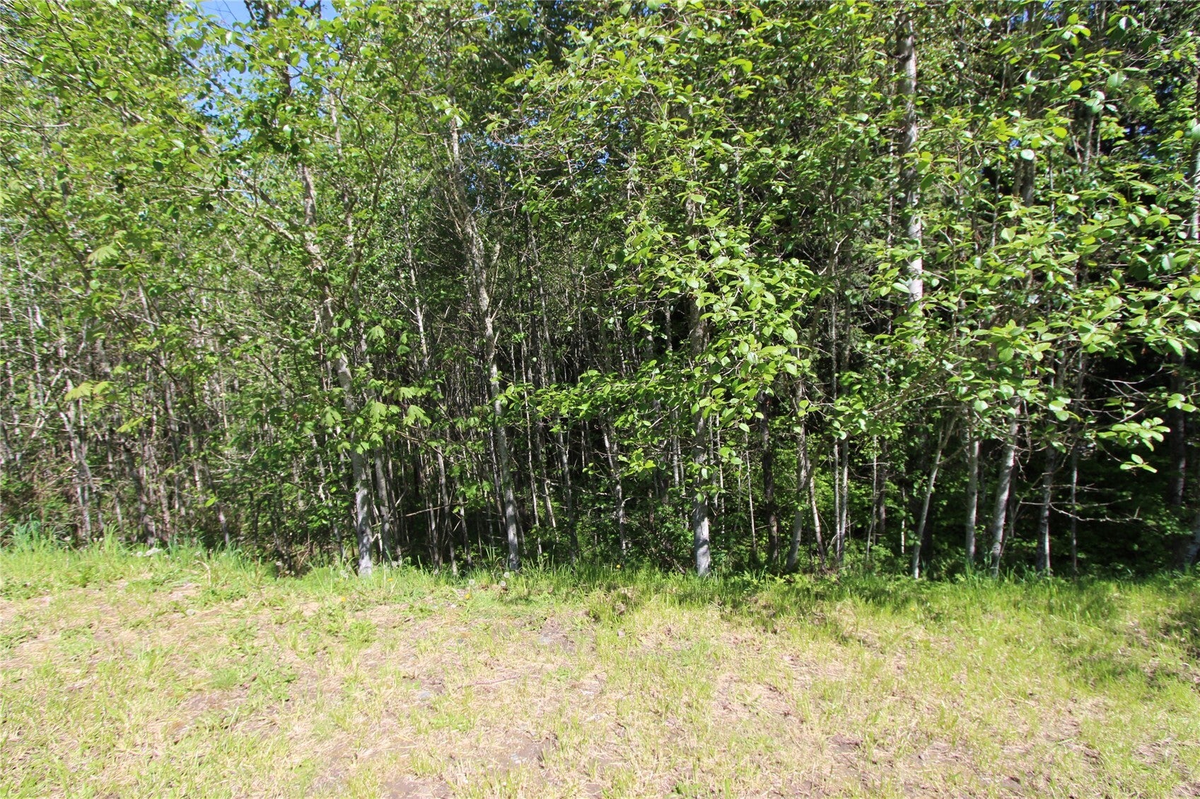 4621 Beaver Pond Drive