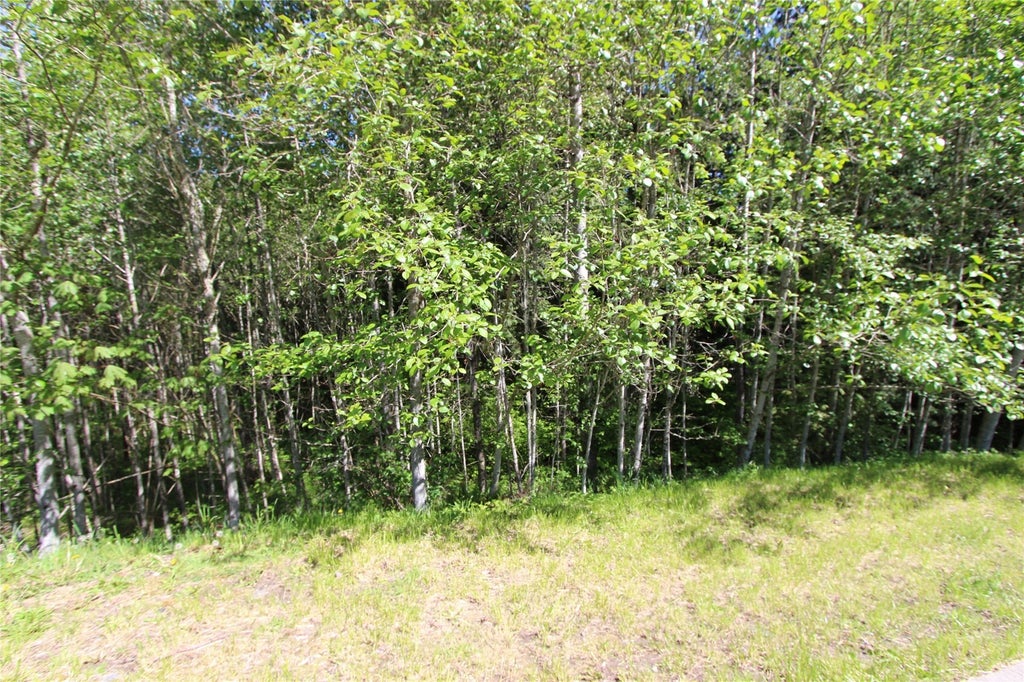 Photo of 4621 Beaver Pond Drive, Mount Vernon, WA 98274 (MLS # 2598612)