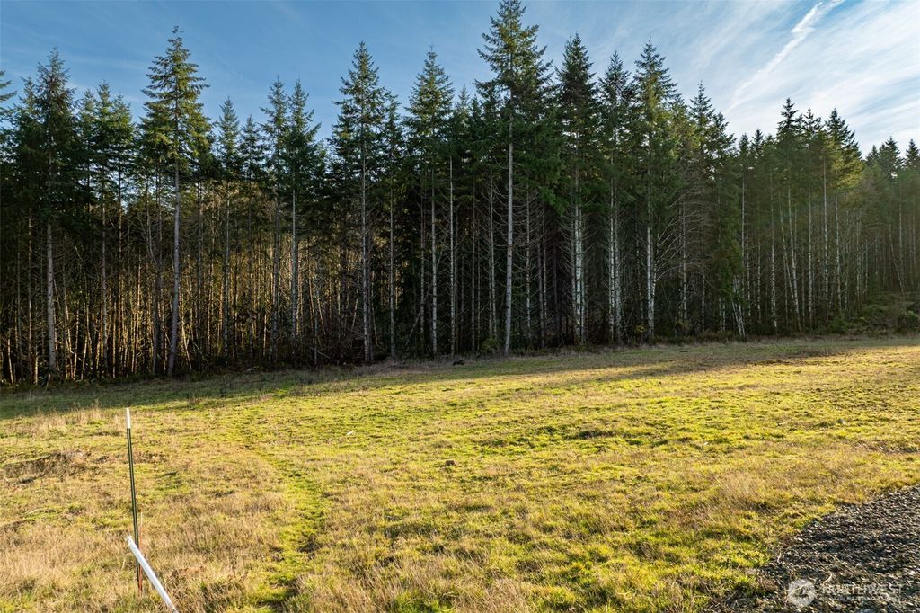 Photo of 0 Silverwood Drive #F2, Castle Rock, WA 98611 (MLS # 2480740)