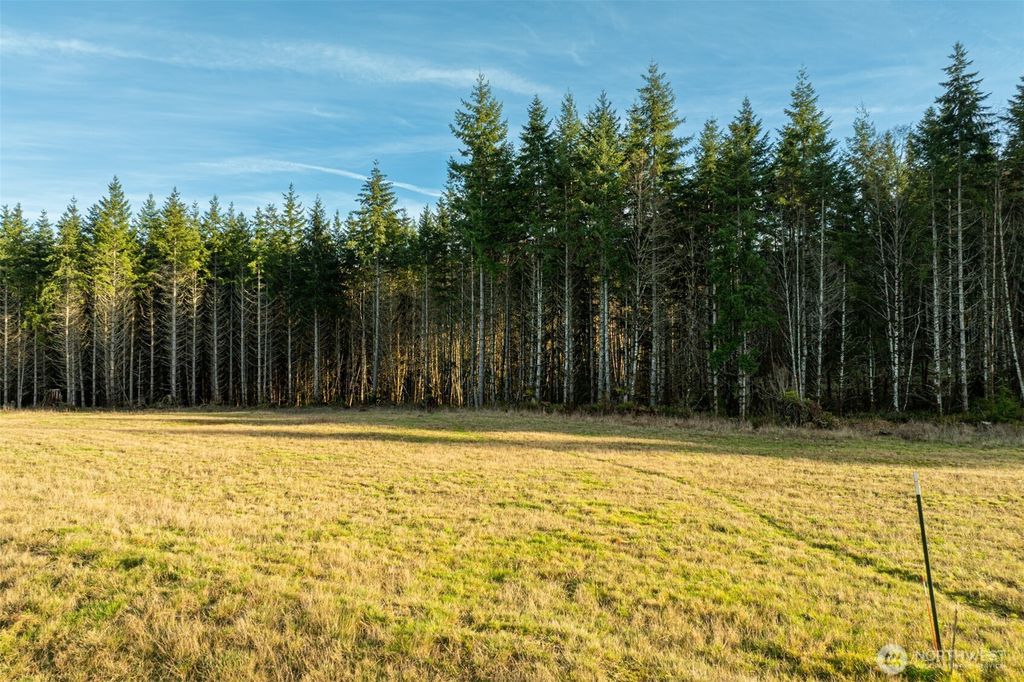 Photo of 0 Silverwood Drive #F2, Castle Rock, WA 98611 (MLS # 2480740)