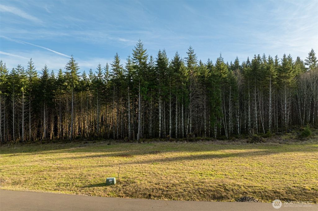 Photo of 0 Silverwood Drive #F2, Castle Rock, WA 98611 (MLS # 2480740)