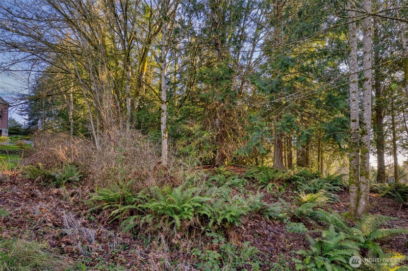 34638 Bridge View Place