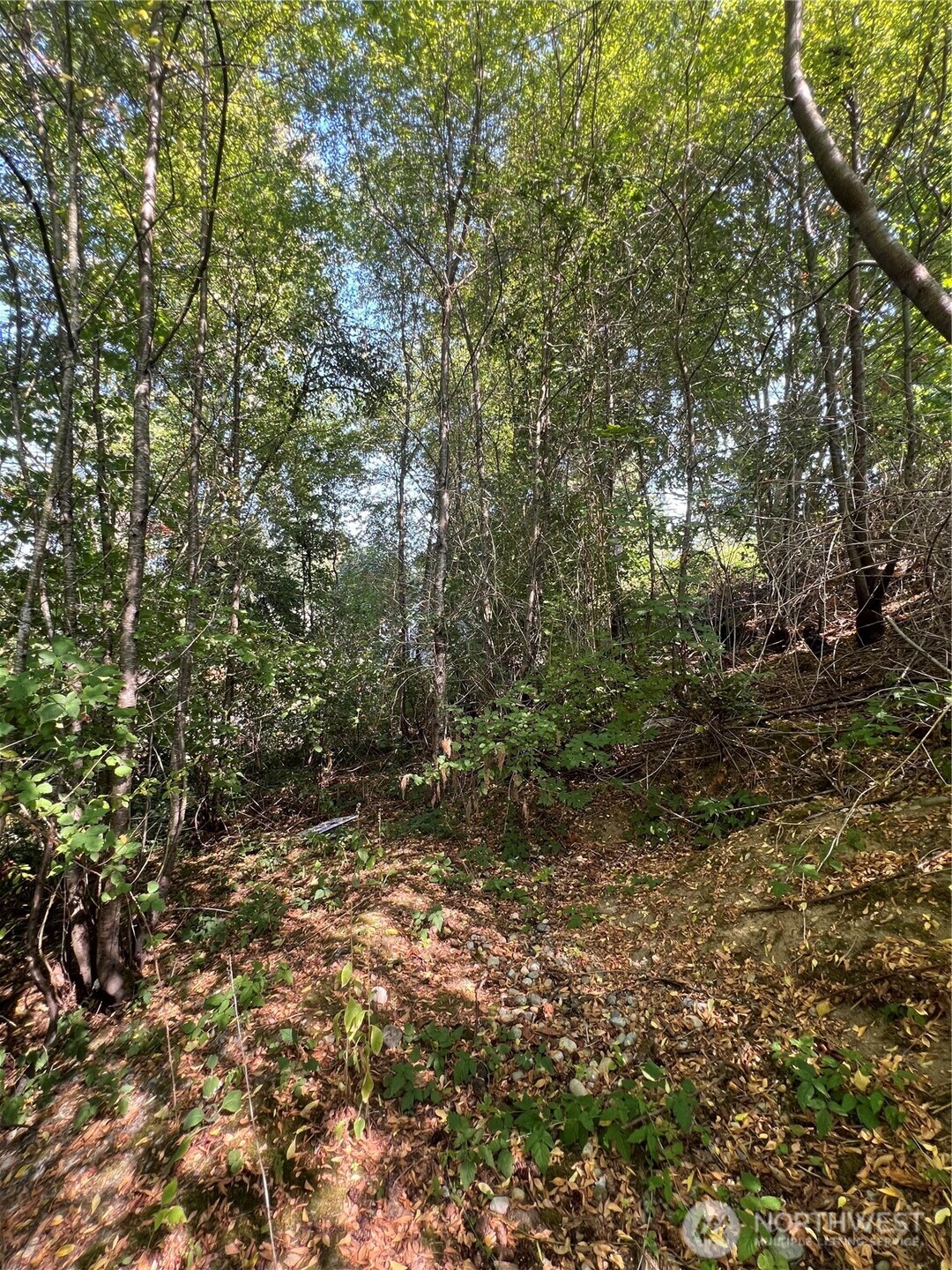 106 XX macarthur lane