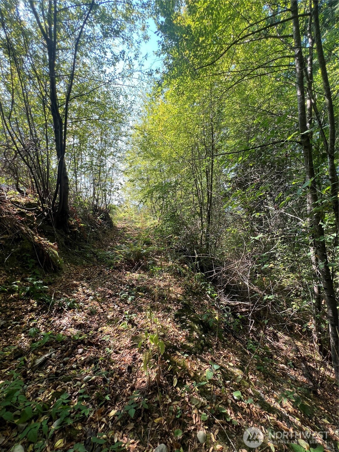 106 XX macarthur lane