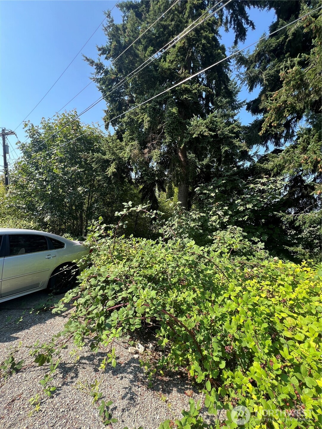 106 XX macarthur lane