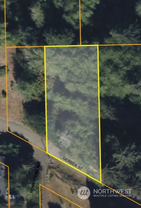 Photo of 0 XXX Gerber Avenue, Raymond, WA 98577 (MLS # 2059128)