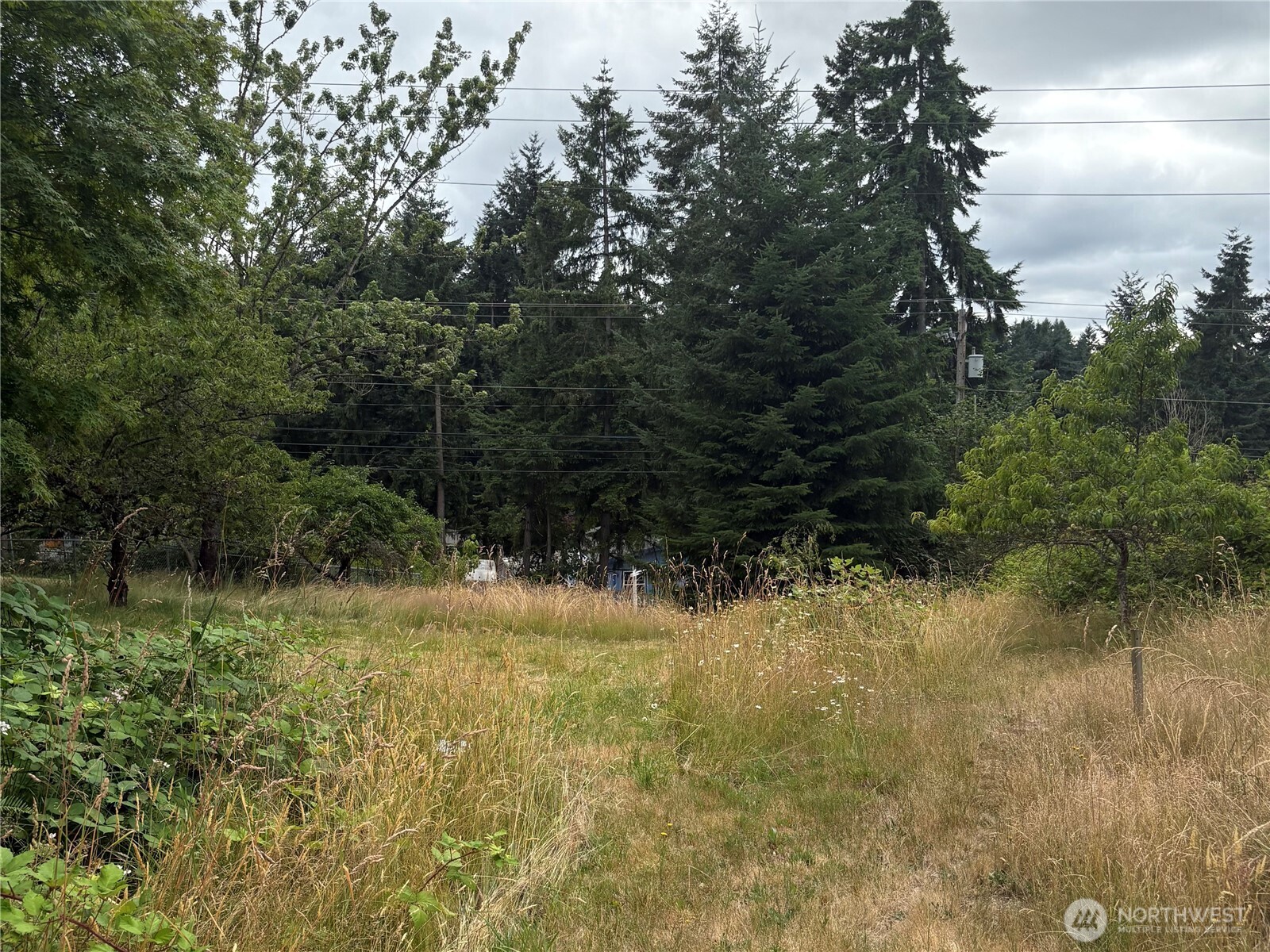 0 166th Avenue E