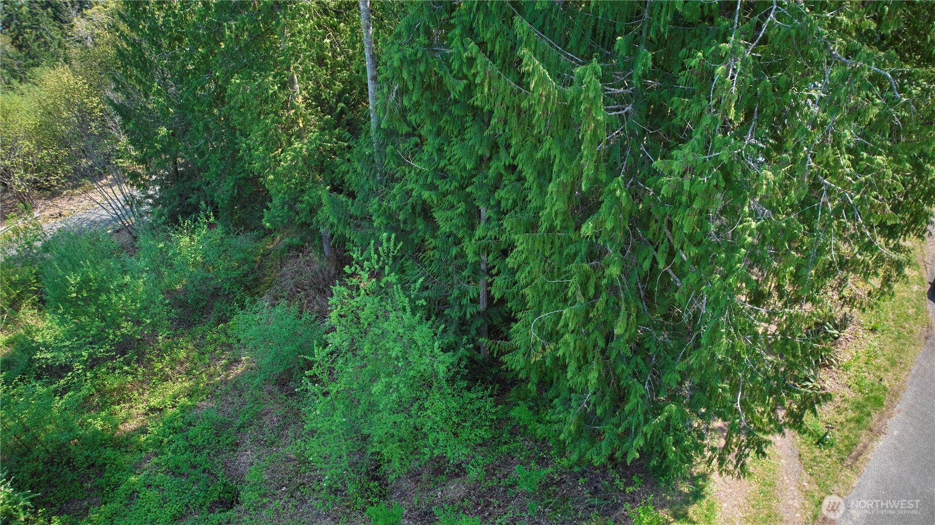 0 Cedar Place