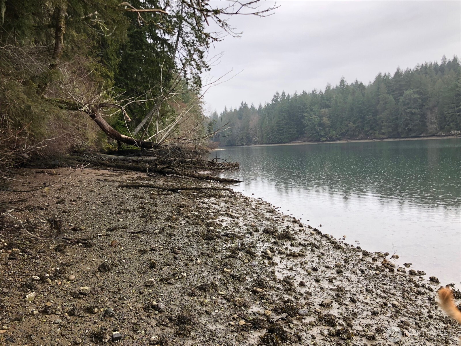 4101 161st Avenue SW