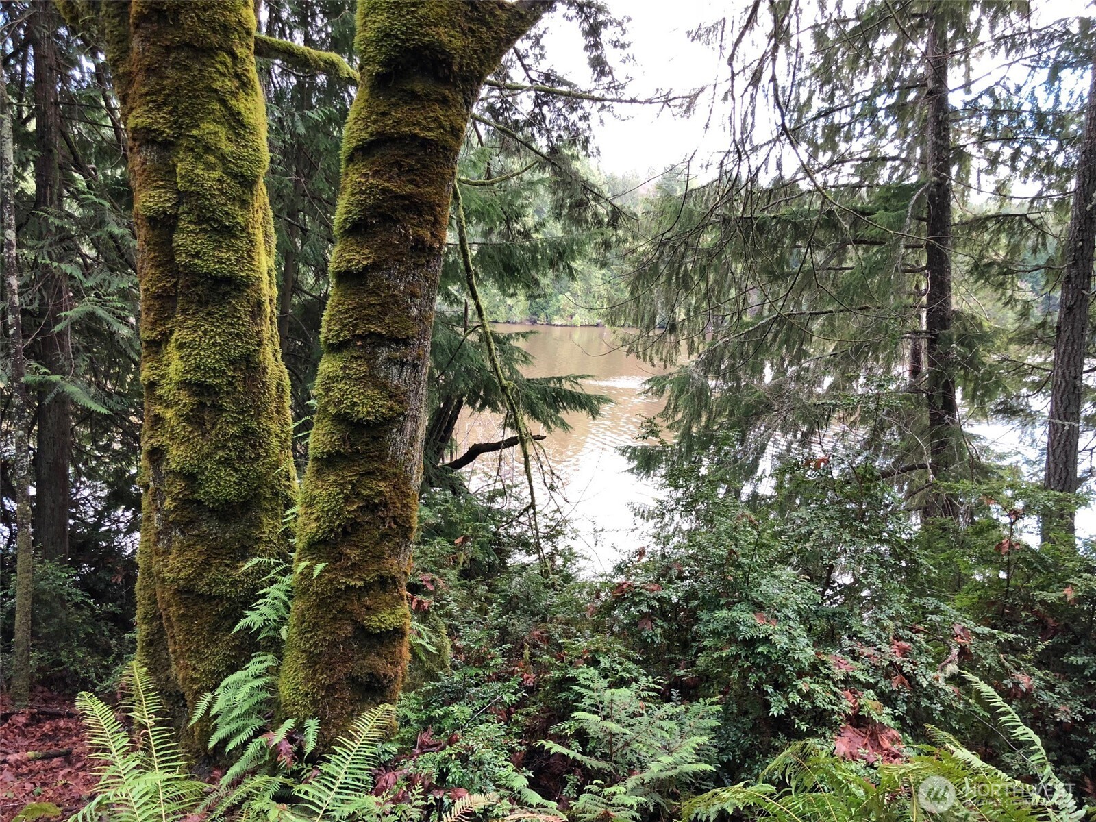 4101 161st Avenue SW