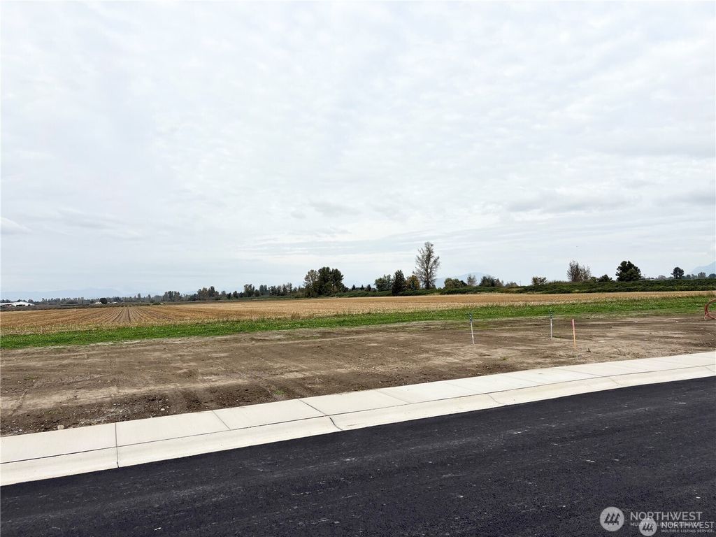 Photo of 316 W 4th Street, Everson, WA 98247 (MLS # 2481054)