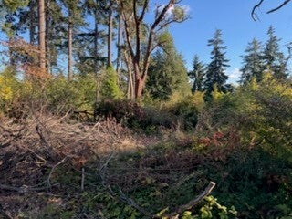 Photo of 1801 S Mason Avenue, Tacoma, WA 98405 (MLS # 2596129)