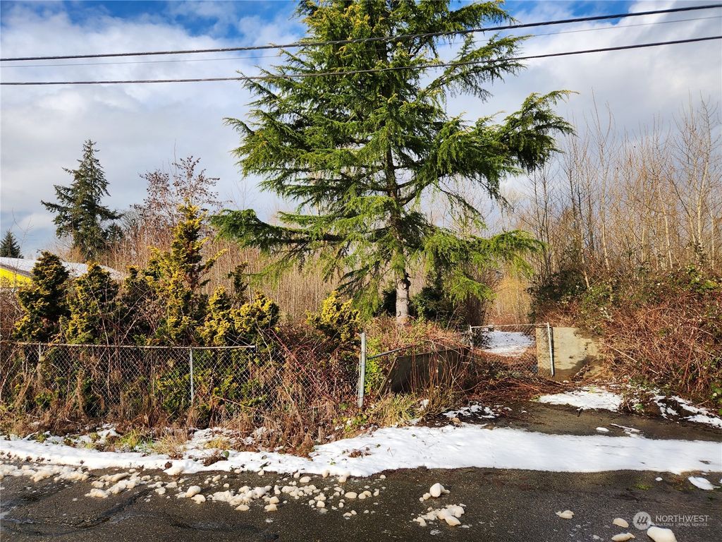 Photo of 4230 S 139th Street, Tukwila, WA 98168 (MLS # 2329929)
