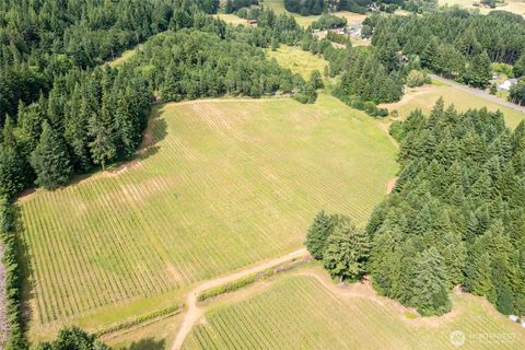 Photo of 391 Newell Rd Rd, Underwood, WA 98651 (MLS # 2385532)