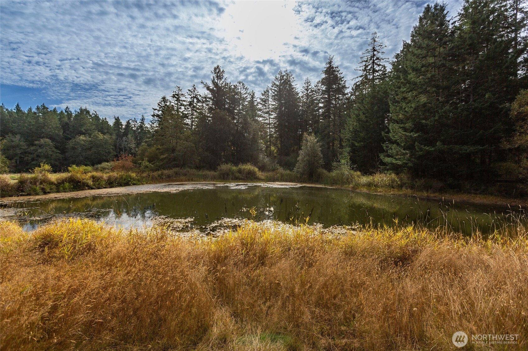 230 Middle Fork Road