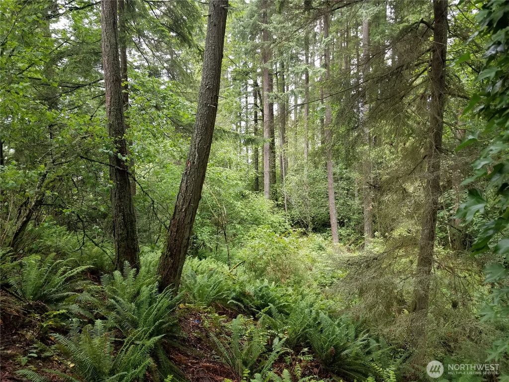 Photo of 1500 XX E Lake Sammamish Parkway SE, Sammamish, WA 98075 (MLS # 2439489)