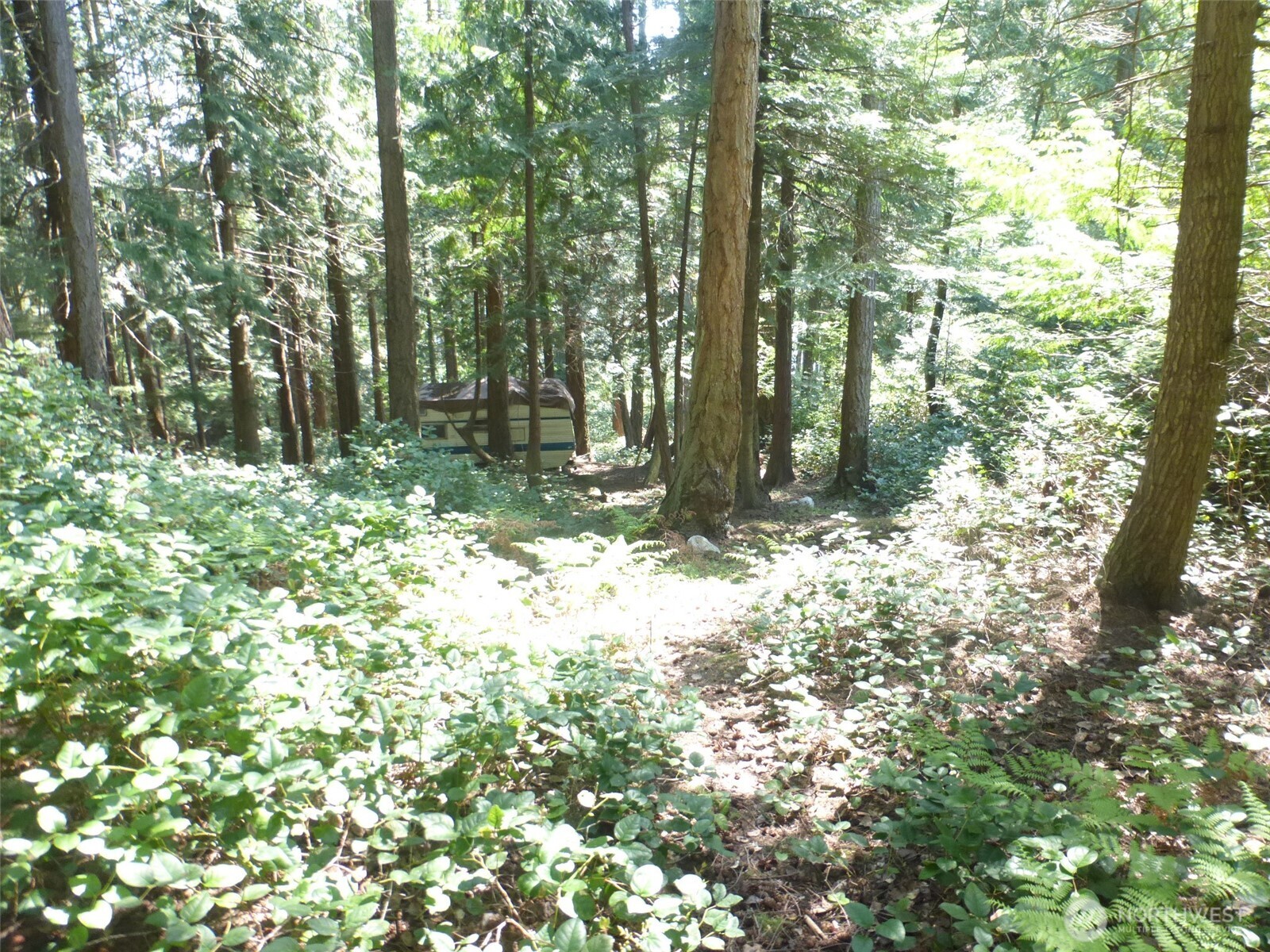 0 woodhaven Lane