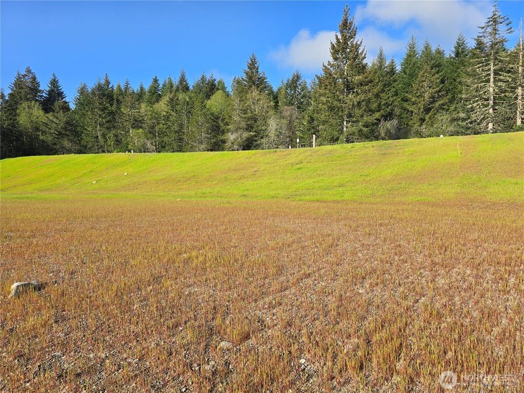 Photo of 51 E Virgil Drive W, Allyn, WA 98524 (MLS # 2513716)