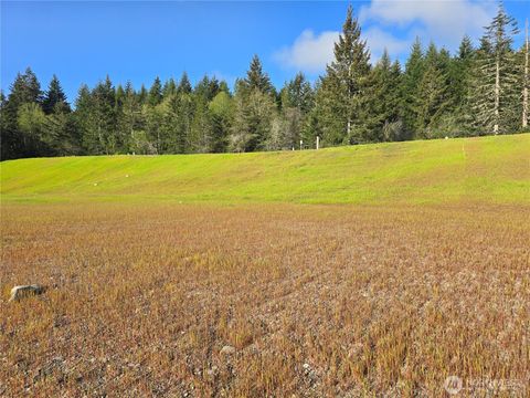 Photo of 51 E Virgil Drive W, Allyn, WA 98524 (MLS # 2513716)