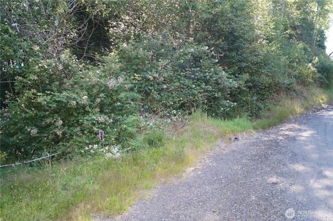 Photo of 0 NKA Bigelow Drive, Aberdeen, WA 98520 (MLS # 2405011)