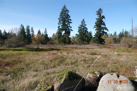 Photo of 8416 State Route 702 S, Roy, WA 98580 (MLS # 2452579)