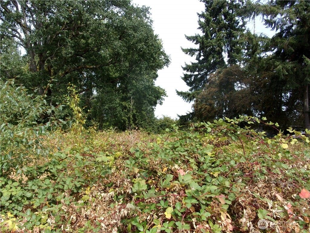 Photo of 7727 146th Street SW, Lakewood, WA 98439 (MLS # 2479359)