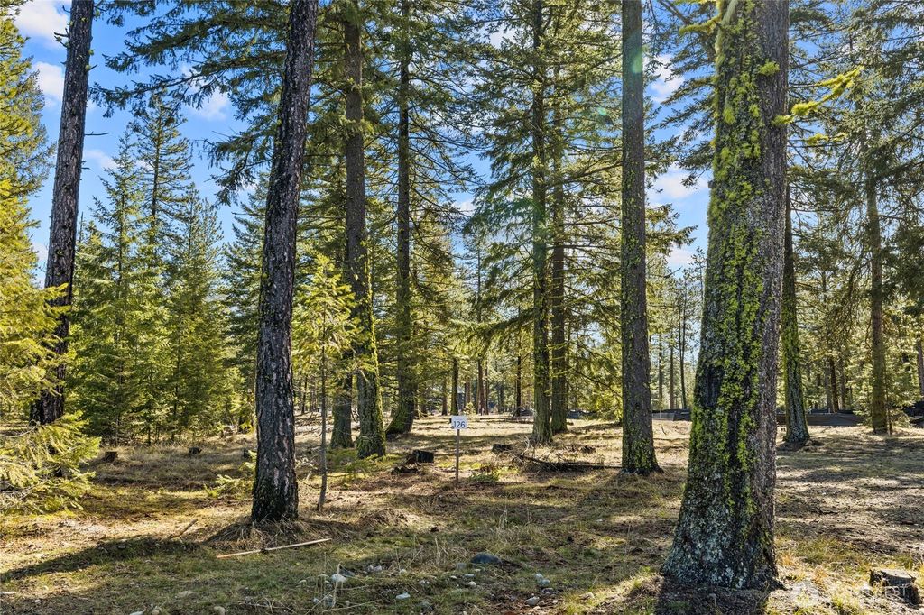 Photo of 126 Lot Wanawish, Cle Elum, WA 98922 (MLS # 2494578)