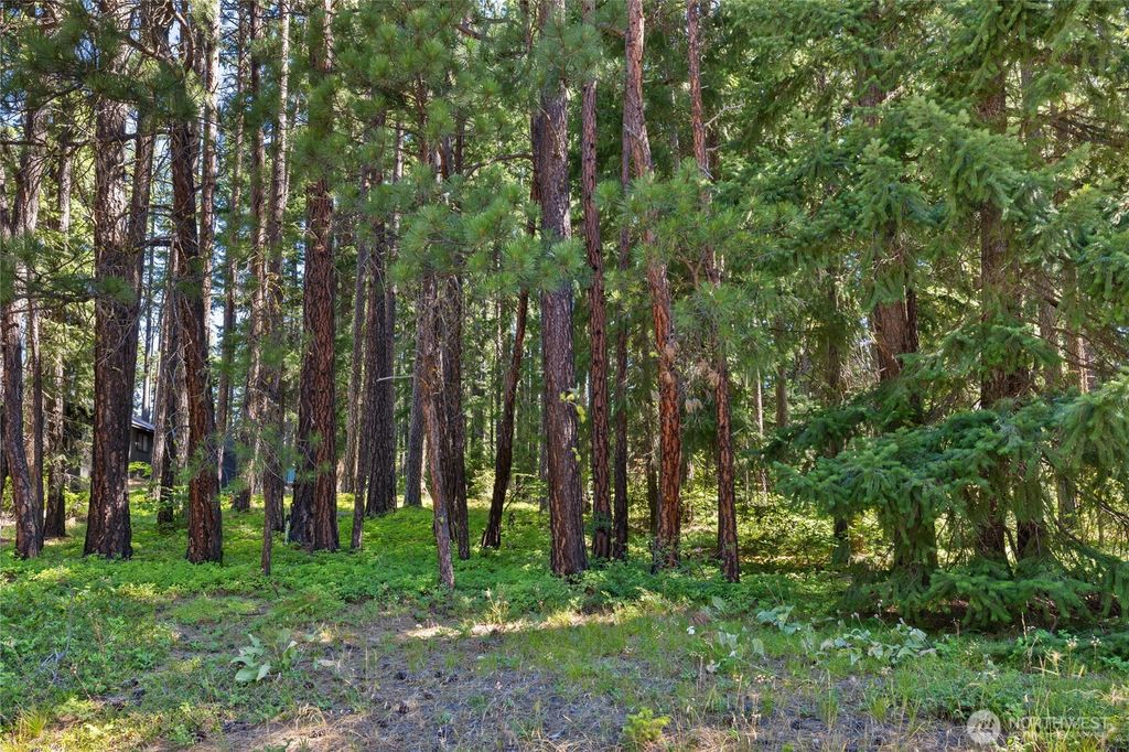 Photo of 0 Lot 10 S Lake Cabins Road, Ronald, WA 98940 (MLS # 2519293)