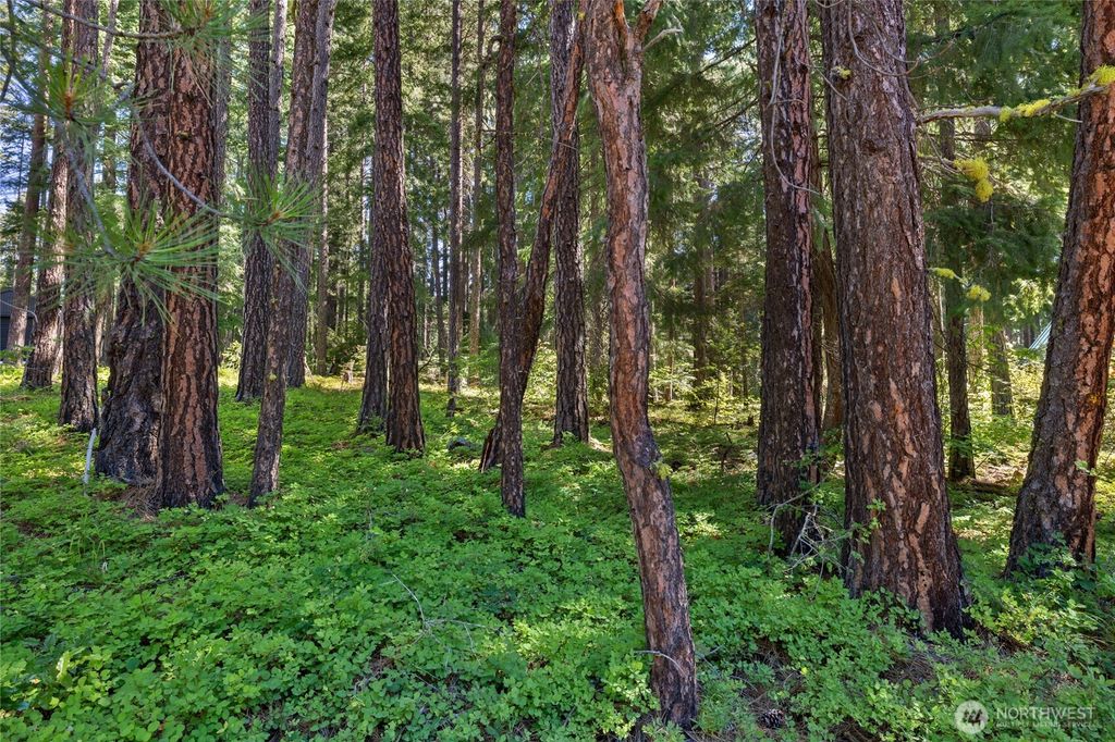 Photo of 0 Lot 10 S Lake Cabins Road, Ronald, WA 98940 (MLS # 2519293)