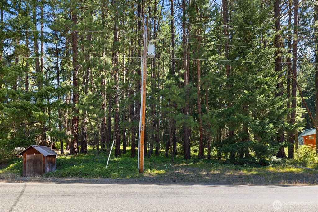 Photo of 0 Lot 10 S Lake Cabins Road, Ronald, WA 98940 (MLS # 2519293)