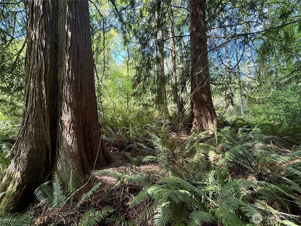 Photo of 5162 Phillips Road SE, Port Orchard, WA 98367 (MLS # 2518183)