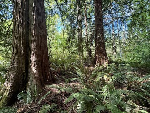 Photo of 5162 Phillips Road SE, Port Orchard, WA 98367 (MLS # 2518183)