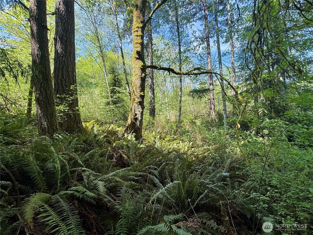 Photo of 5162 Phillips Road SE, Port Orchard, WA 98367 (MLS # 2518183)