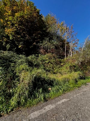 0 XX 241ST AVENUE SE, MONROE, WA 98270 - Image f813fe209e9efda2c5bfd111e7160b67/840044648