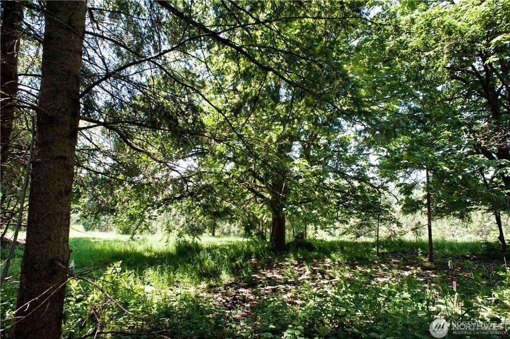 Photo of 324 xx 1st Avenue, Black Diamond, WA 98010 (MLS # 2338525)