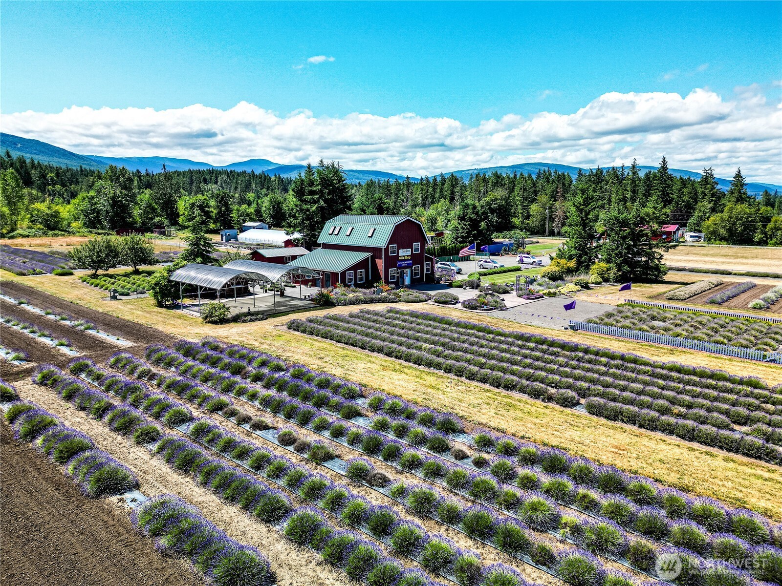 274154 HWY 101