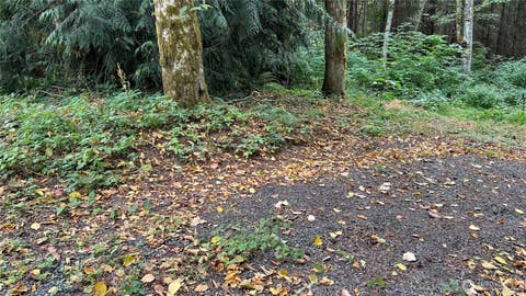 Photo of 5981 NE Spruce DR DR, Hansville, WA 98340 (MLS # 2569287)