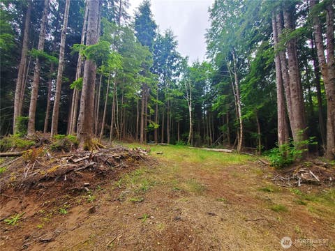 Photo of 46 A North Shore Place Pl, Hoquiam, WA 98550 (MLS # 2540111)