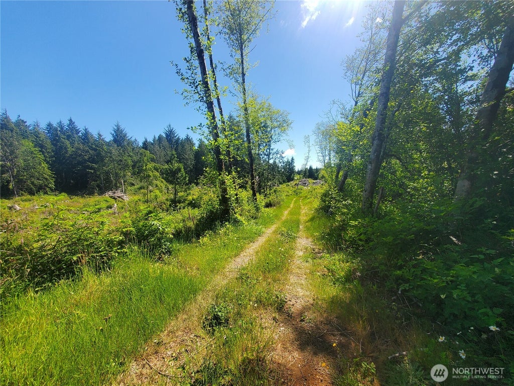 Photo of 46 A North Shore Place Pl, Hoquiam, WA 98550 (MLS # 2540111)